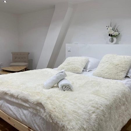 Appartement Le Duplex - Gare / Tram / Netflix à Fontaine  Extérieur photo